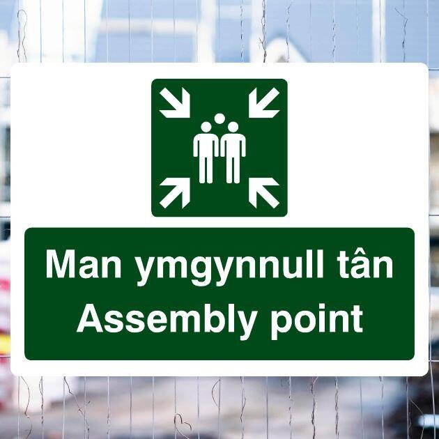 Assembly Point Fire Sign in Welsh-The Safety Sheep Store