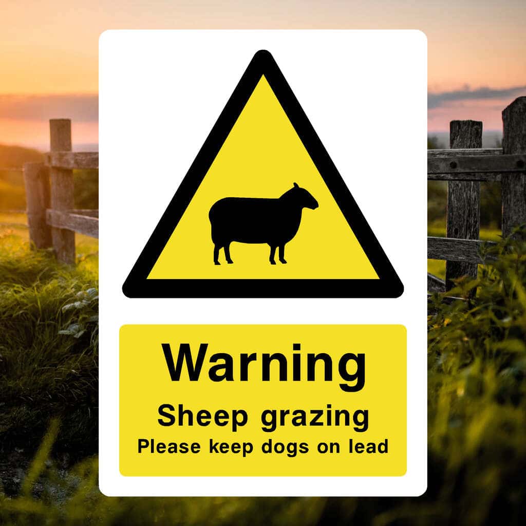 Dogs on Lead Grazing Sign-The Safety Sheep Store