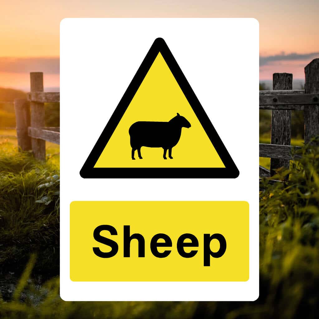 Sheep Warning Sign-The Safety Sheep Store