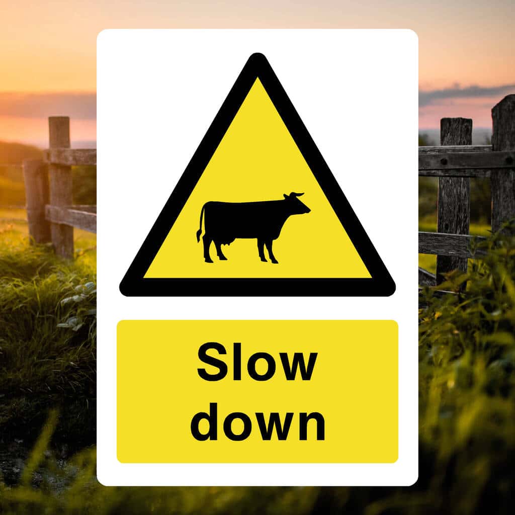 Slow Down Cattle Sign-The Safety Sheep Store