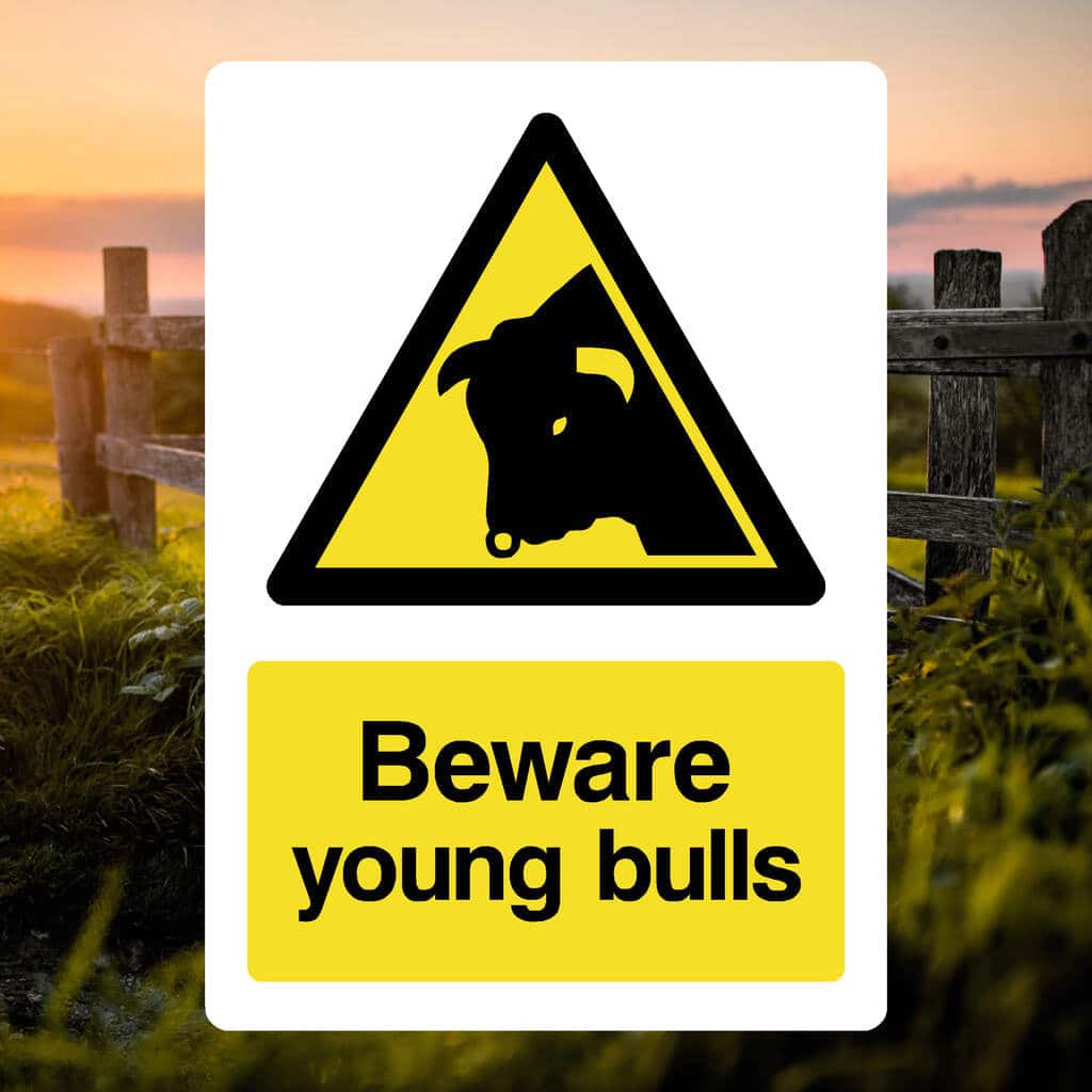 Beware Young Bulls Sign - The Safety Sheep Store