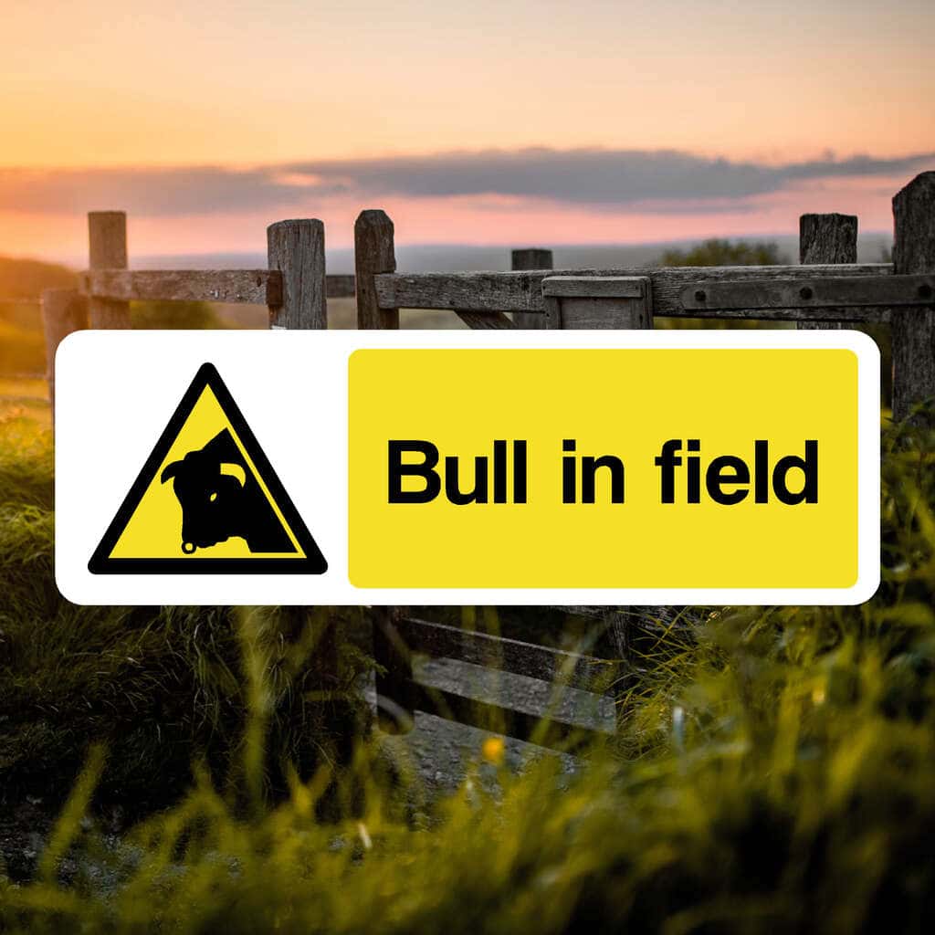 Bull In Field Warning Sign - The Safety Sheep Store
