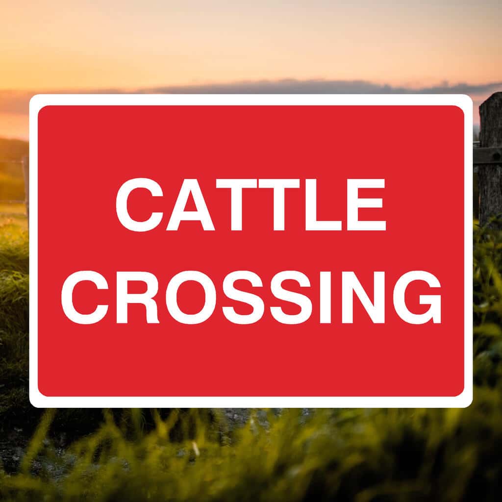 Cattle Crossing Sign - The Safety Sheep Store
