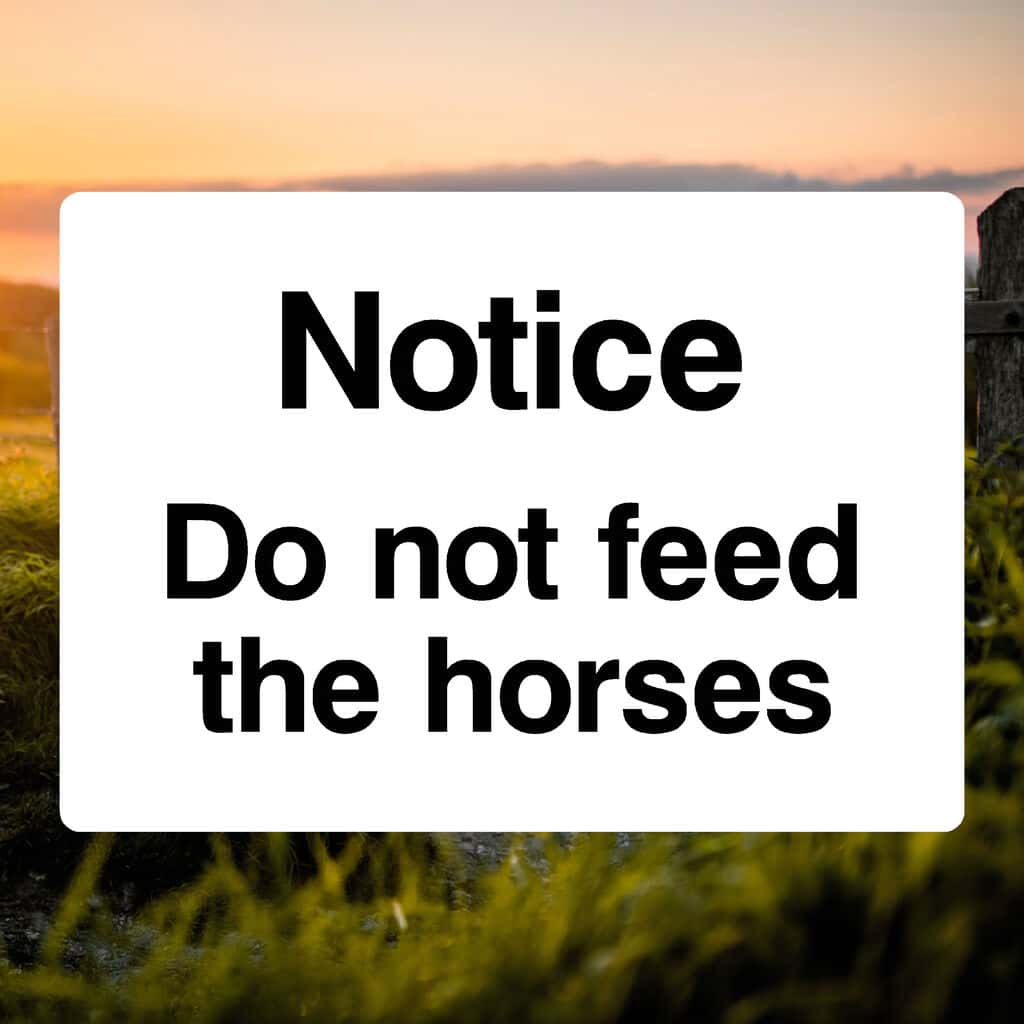 Do Not Feed The Horses Sign - The Safety Sheep Store