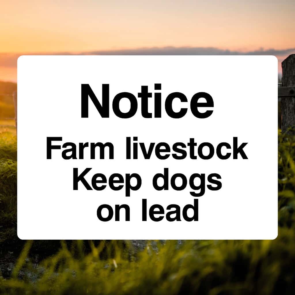 Farm Livestock Keep Dogs On Lead Sign - The Safety Sheep Store