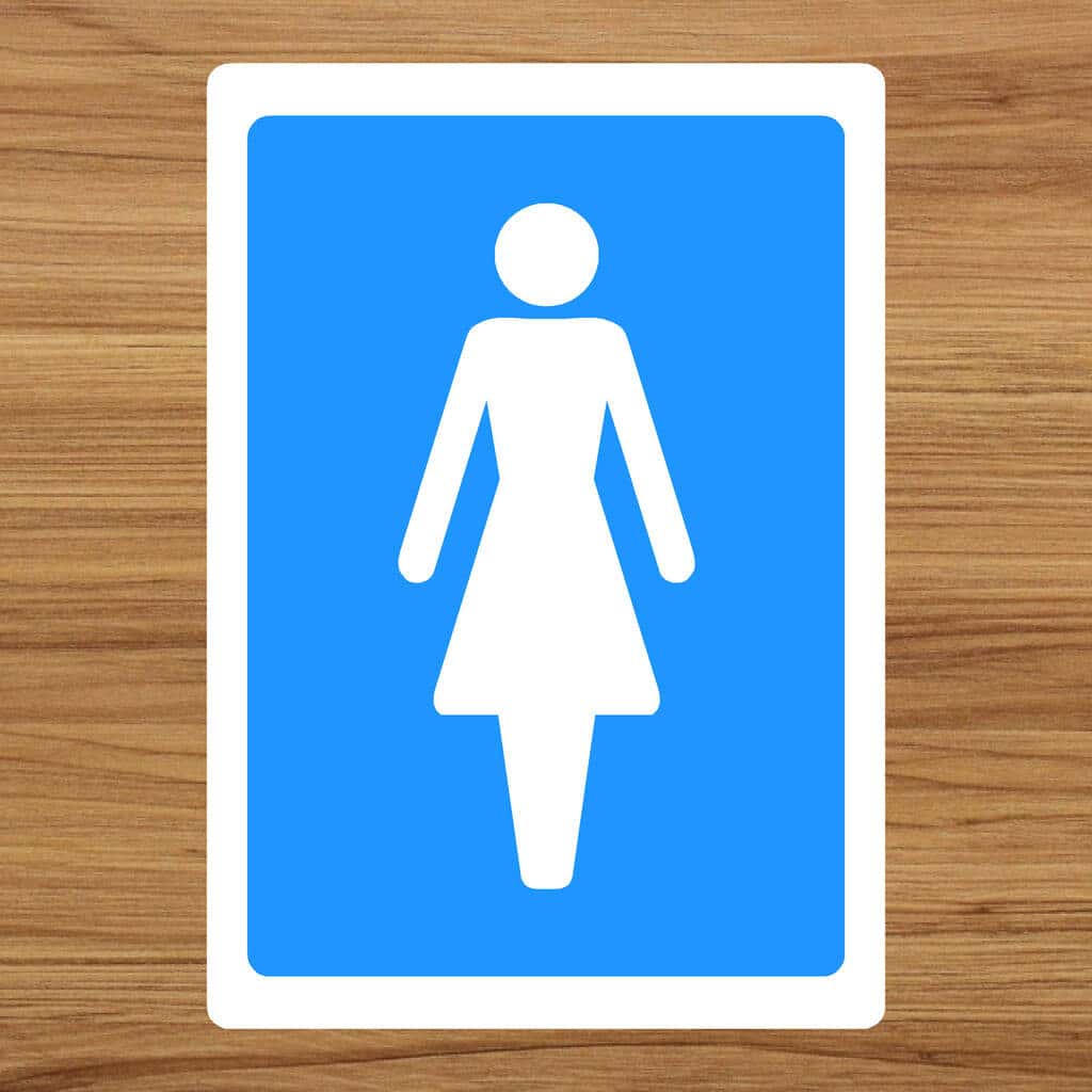 Ladies Toilet Sign - The Safety Sheep Store