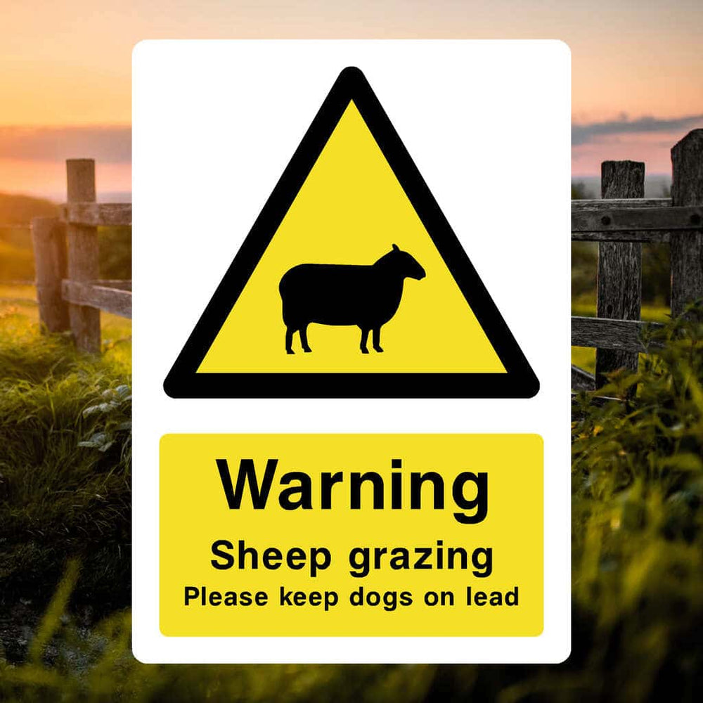 Dogs on Lead Sign for Grazing Fields | Safety Sheep – The Safety Sheep ...