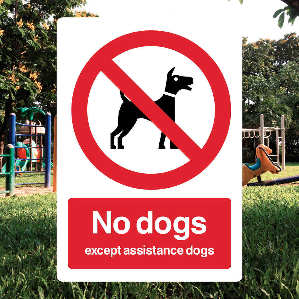 No Dogs - Except Assistance Dogs Sign-The Safety Sheep Store